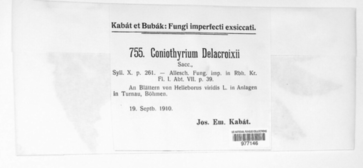 Coniothyrium delacroixii image
